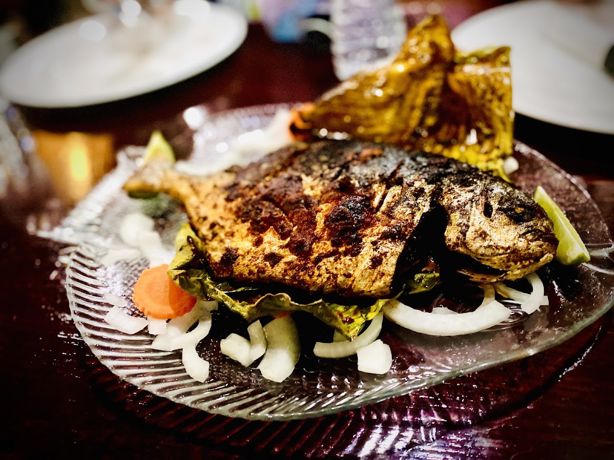 Kochi Indian Cuisine-9